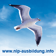 NLP Ausbildungsinstitut Ruhr, Roman Simeunovic