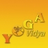 Seminare von Yoga Vidya Seminare von Yoga Vidya